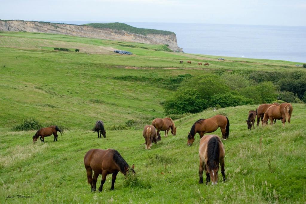 Posada Punta Ballota Суансес Экстерьер фото